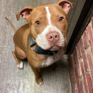 Meet your Posher, Elijah